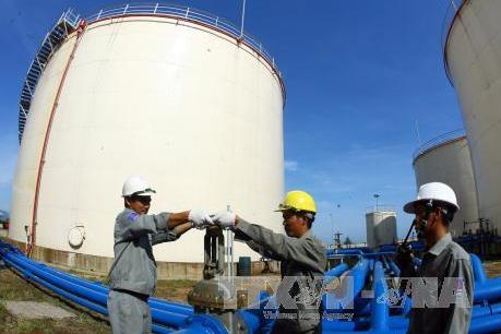 Tháng 1, lượng xăng dầu nhập khẩu tăng 3,5%