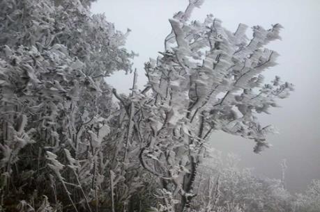 Mẫu Sơn băng giá xuất hiện 2 ngày liên tiếp