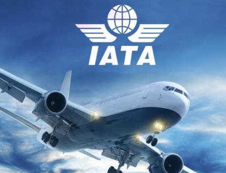 IATA: Các hãng hàng không lạc quan về triển vọng kinh doanh