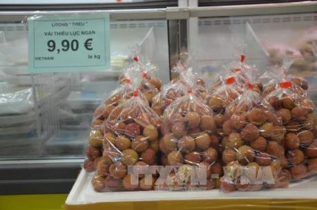 Tìm cách để xuất khẩu nông lâm thủy sản đạt 40 tỷ USD