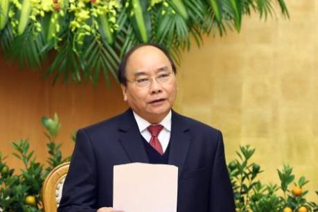 Thủ tướng: Đảm bảo tốt gieo trồng, chăn nuôi trong rét đậm rét hại