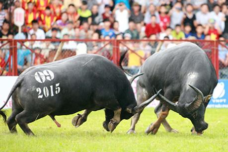 Mùa lễ hội 2018 kiên quyết xử lý những vấn đề nổi cộm, bức xúc trong dư luận