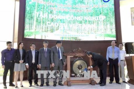 Tập đoàn Công nghiệp Cao su Việt Nam chỉ bán được 1/4 khối lượng cổ phần IPO