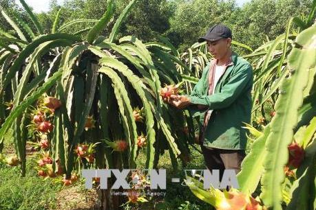 Xây dựng mô hình trồng trọt và chăn nuôi ứng dụng công nghệ cao