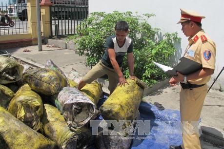 Chặn kịp thời 1,2 tấn mỡ và sản phẩm động vật bốc mùi hôi thối trên đường tiêu thụ