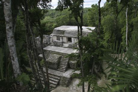 Phát hiện hàng nghìn cấu trúc cổ của nền văn minh Maya tại Guatemala