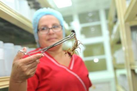 Nhà sản xuất Cuba nói gì về "thuốc chữa ung thư" Vidatox gây tranh cãi ở Việt Nam? 