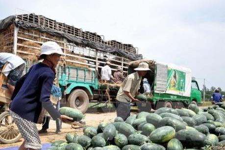 Lạng Sơn giải quyết tình trạng dồn ứ hàng nông sản tại các cửa khẩu