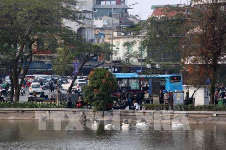 Di chuyển đàn thiên nga thả ở hồ Gươm về đâu?