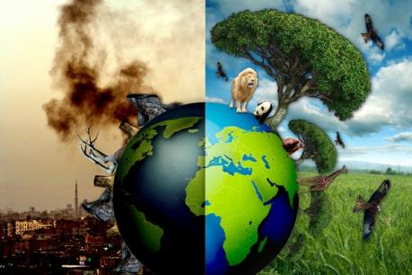 Gợi ý viết thư quốc tế UPU 2018: Con xin lỗi!