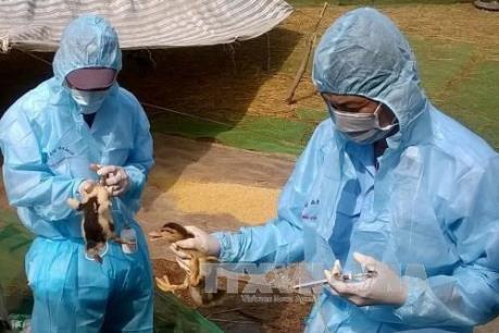 Hà Nội tăng cường phòng chống dịch bệnh cúm mùa