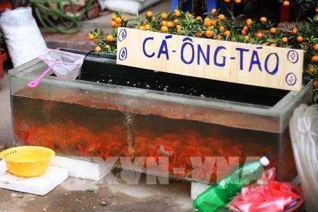 Cách sắp lễ, mâm cúng Tết ông Công ông Táo đơn giản, chuẩn nghi thức