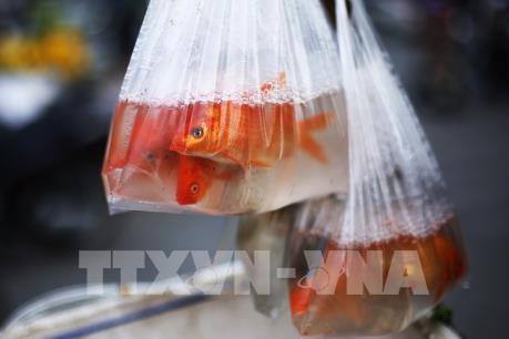 Gốc rễ sự tích ông Công ông Táo