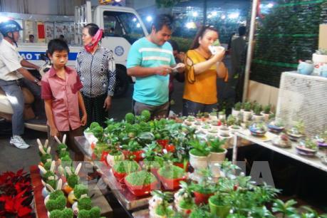 Giá hoa cảnh tăng từ 10 - 20% tùy loại