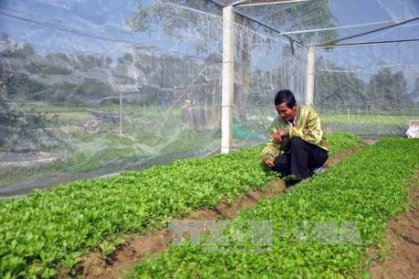 Tập đoàn công nghệ Hàn Quốc Agerigna muốn hợp tác phát triển nông nghiệp với Cao Bằng