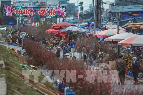 Đào Nhật Tân rộn ràng đón Tết