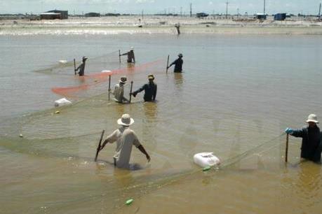 Kêu gọi đầu tư để giải bài toán thoát nghèo tại Sóc Trăng