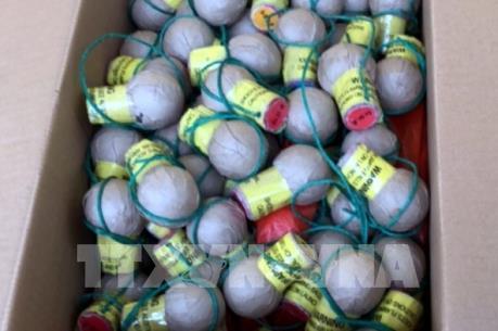 Bắc Giang: Bắt xe khách vận chuyển 117 kg pháo