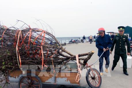 Tết sớm ở đảo tiền tiêu vùng Đông Bắc Tổ quốc