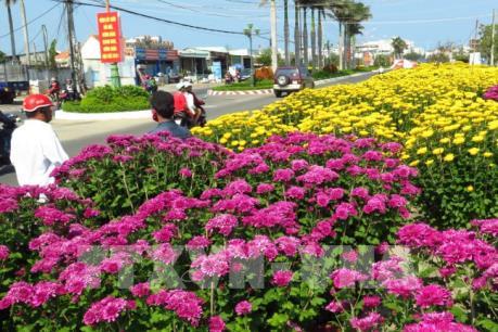Nhộn nhịp các chợ hoa Xuân ở An Giang ​