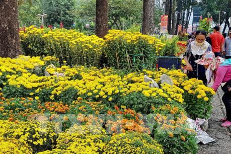 Hoa Tết giá tăng gấp đôi vẫn hút khách