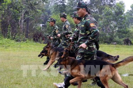 "Biệt đội cảnh khuyển" - Cộng sự đắc lực của Bộ đội Biên phòng