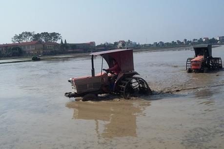 Lấy nước gieo cấy vụ Đông Xuân đợt 3 rút ngắn 2 ngày