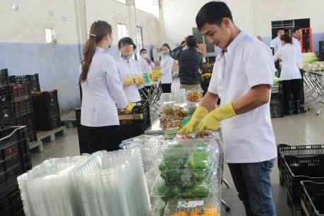 Khởi nghiệp thành công từ trồng rau “tử tế”