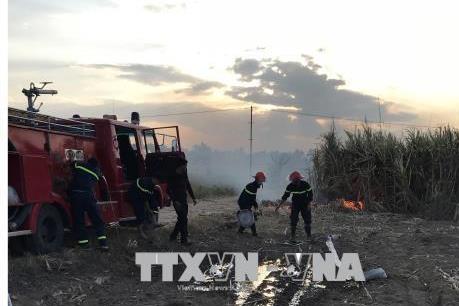 Vụ hỏa hoạn tại cánh đồng mía ở Kon Tum: Cần sớm thu mua mía cho dân