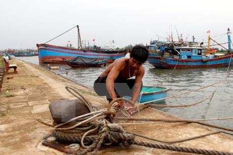 Các tỉnh, thành phố từ Đà Nẵng đến Kiên Giang chủ động ứng phó với bão Sanba
