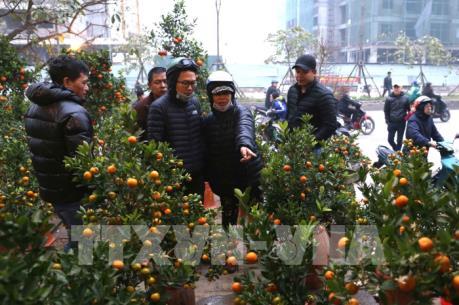 Hà Nội rộn ràng sang Xuân