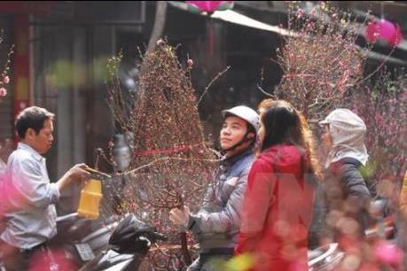 Thời tiết Hà Nội đêm 30 Tết và sáng mùng 1 Tết nhiều mây, không mưa