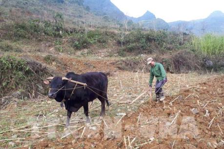 Độc đáo nghề đúc lưỡi cày của người Dao Yên Sơn - Cao Bằng