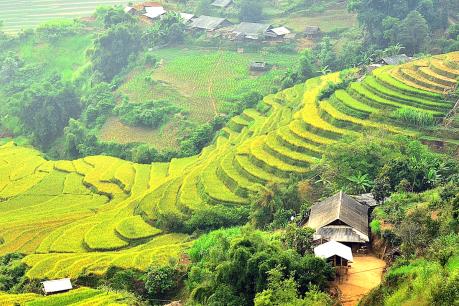 Hạnh phúc lưng chừng trời