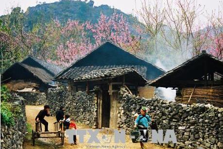 Dự báo thời tiết mùng 2 Tết:  Bắc Bộ và Trung Bộ mưa nhỏ, trời rét