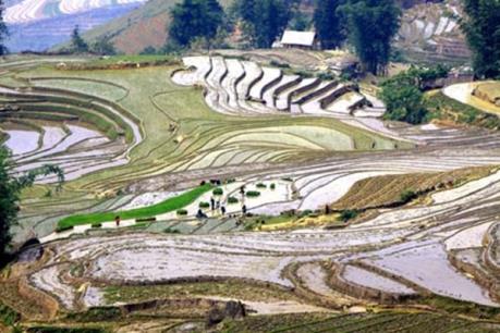 Xuân về trên biên cương