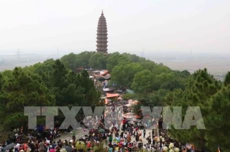 Bắc Ninh: Tưng bừng Lễ hội Khán hoa Mẫu đơn