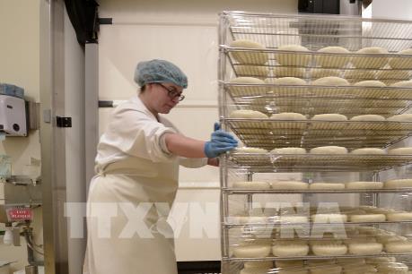 Đức: Kế hoạch cải cách thuế của Mỹ ảnh hưởng tiêu cực tới châu Âu