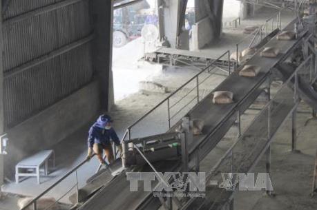 Thái Nguyên sôi nổi ra quân sản xuất đầu xuân