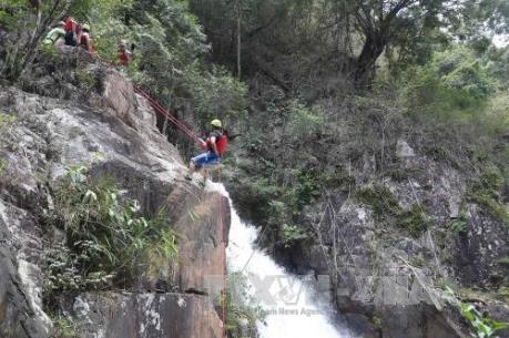 Lâm Đồng đón 280.000 ngàn lượt du khách trong dịp Tết