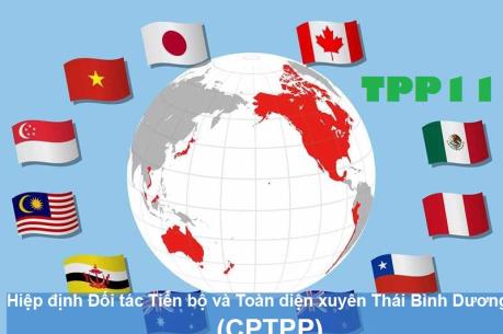Toàn văn Hiệp định Đối tác tiến bộ và Toàn diện xuyên Thái Bình Dương (CPTPP)