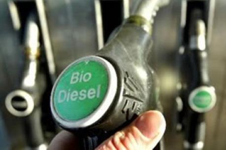 Mỹ tăng thuế đối với nhiên liệu sinh học của Argentina và Indonesia