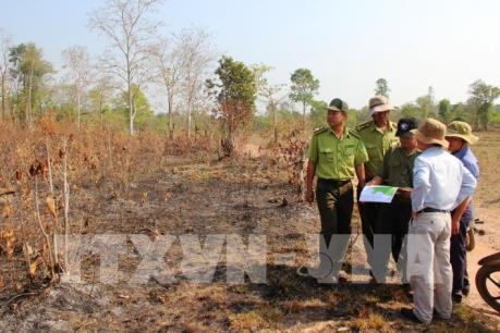 Trong dịp Tết nguyên đán xảy ra 12 vụ cháy tại khu rừng phòng hộ Dầu Tiếng