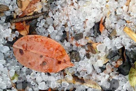 Giông lốc bất ngờ kèm mưa đá khiến nhiều nhà dân ở Điện Biên bị hư hại