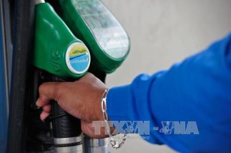 Algeria cân nhắc thay đổi Luật về dầu khí để thu hút vốn đầu tư