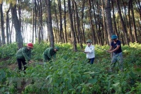 Hướng dẫn quản lý và sử dụng tiền dịch vụ môi trường rừng