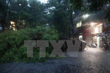 Dự báo thời tiết đêm 14/6: Đề phòng tố lốc, mưa đá, gió giật mạnh