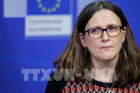 EU lên sẵn "kịch bản" cho cuộc chiến thương mại với Mỹ