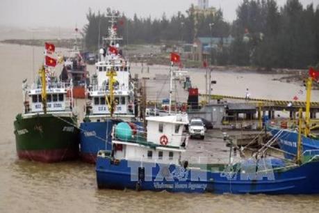 Nhật Bản hỗ trợ ngư dân Quảng Trị lắp đặt đèn LED cho tàu cá