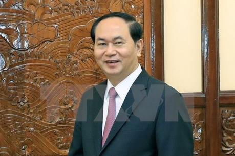 Chủ tịch nước Trần Đại Quang hoan nghênh các sáng kiến phát triển của Ấn Độ